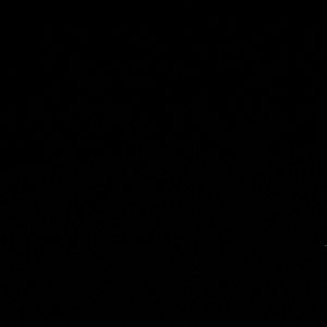 Meet your Posher, Ramona